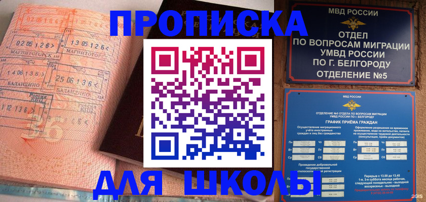 прописка иностранных граждан в Кашине